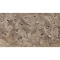 Bonway Bon 32-408 Texture Skin, Gulf Coast Sea Shell, 48" X 48" 32-408 - alternate 2